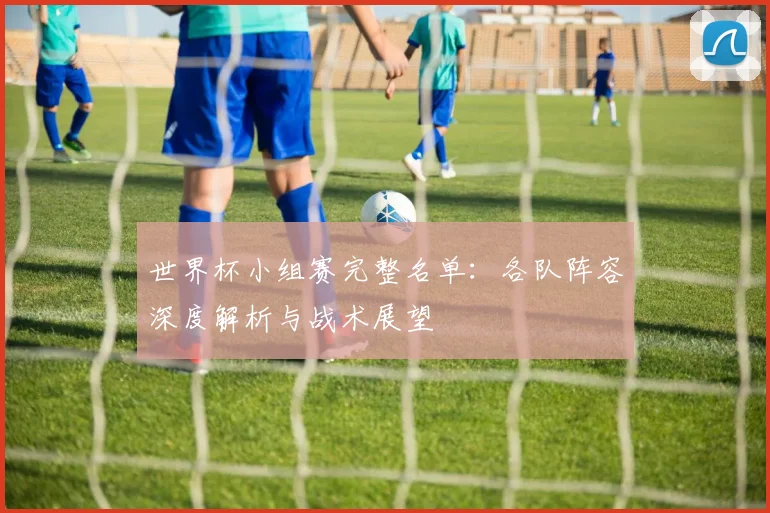 世界杯小组赛完整名单：各队阵容深度解析与战术展望