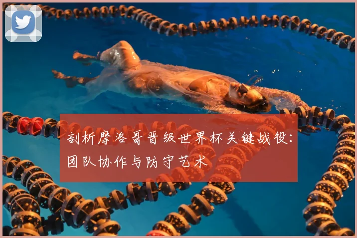 剖析摩洛哥晋级世界杯关键战役：团队协作与防守艺术