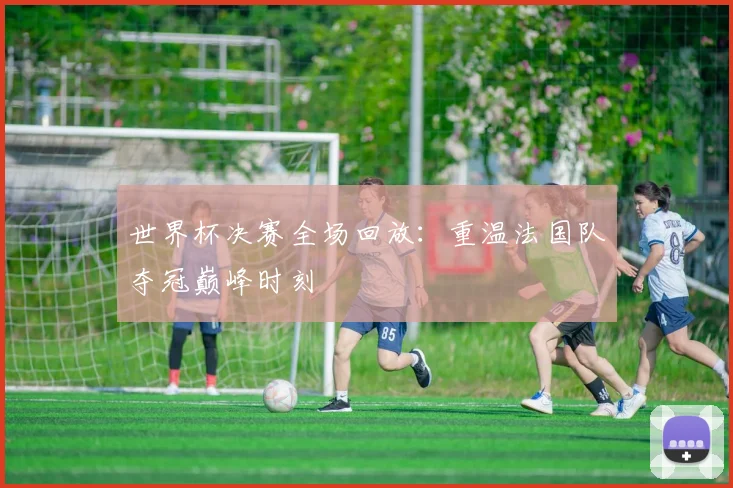 世界杯决赛全场回放:重温法国队夺冠巅峰时刻
